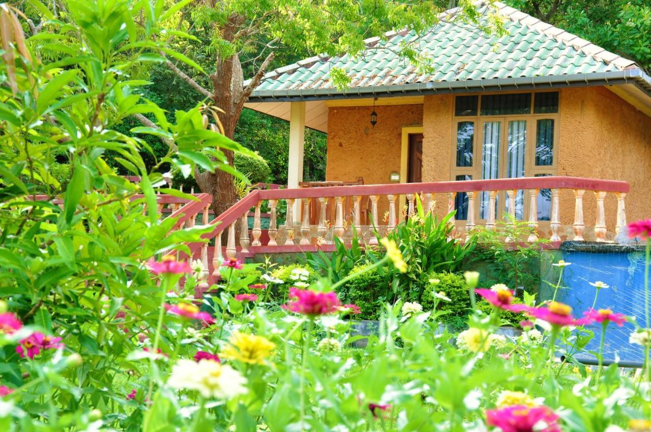 Kodigahawewa Forest Resort Tissamaharama Εξωτερικό φωτογραφία